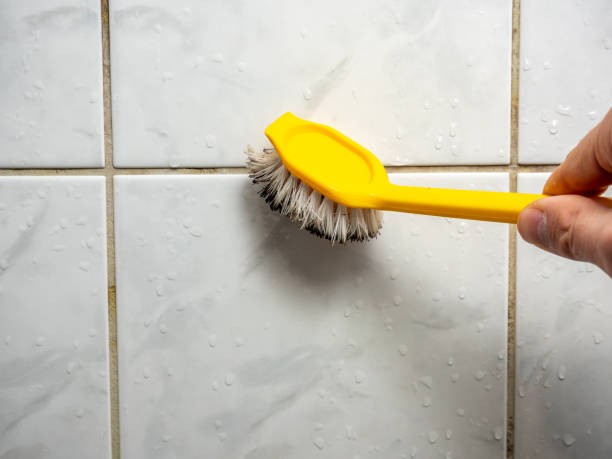 Best Home Mold Removal  in Amarillo, TX