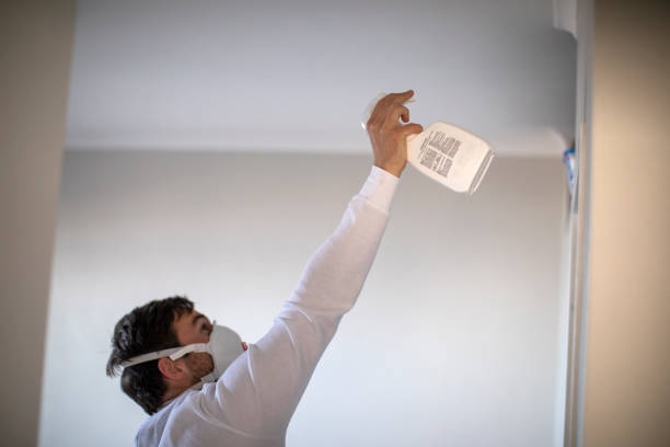 Best Same-Day Mold Removal  in Amarillo, TX