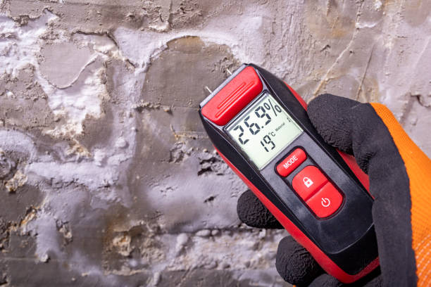 Best Attic Mold Removal  in Amarillo, TX