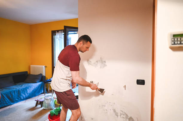 Best Home Mold Removal  in Amarillo, TX